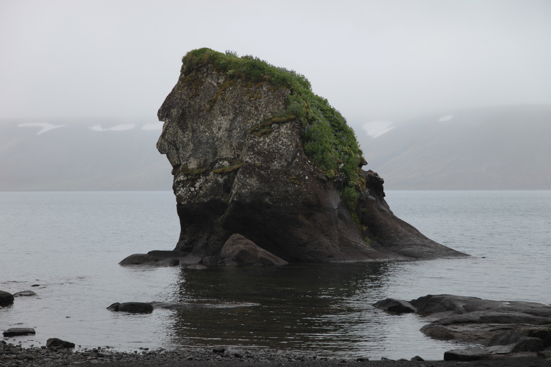 IMG_3911.JPG_compressed
