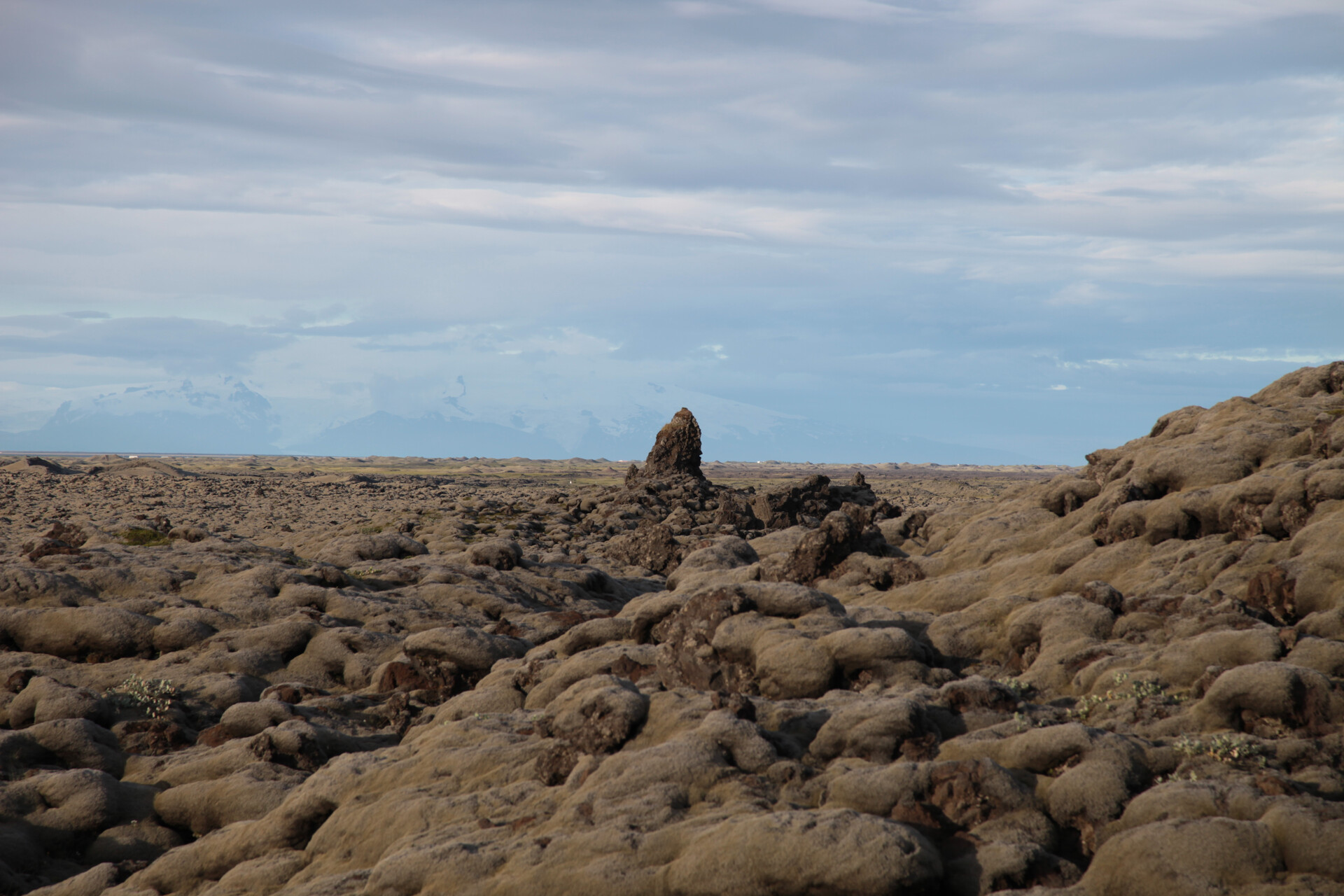 IMG_4340.JPG_compressed