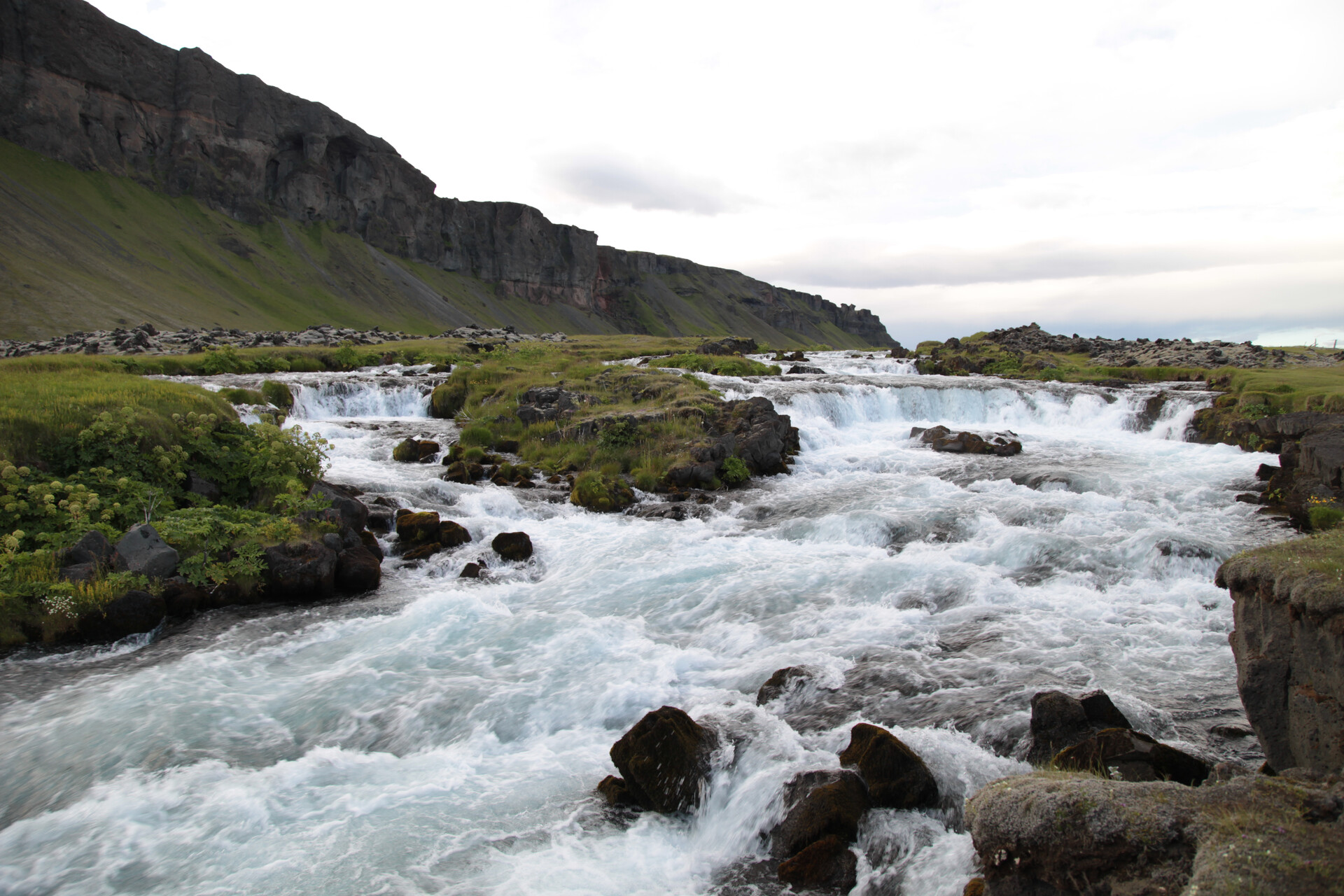 IMG_4343.JPG_compressed