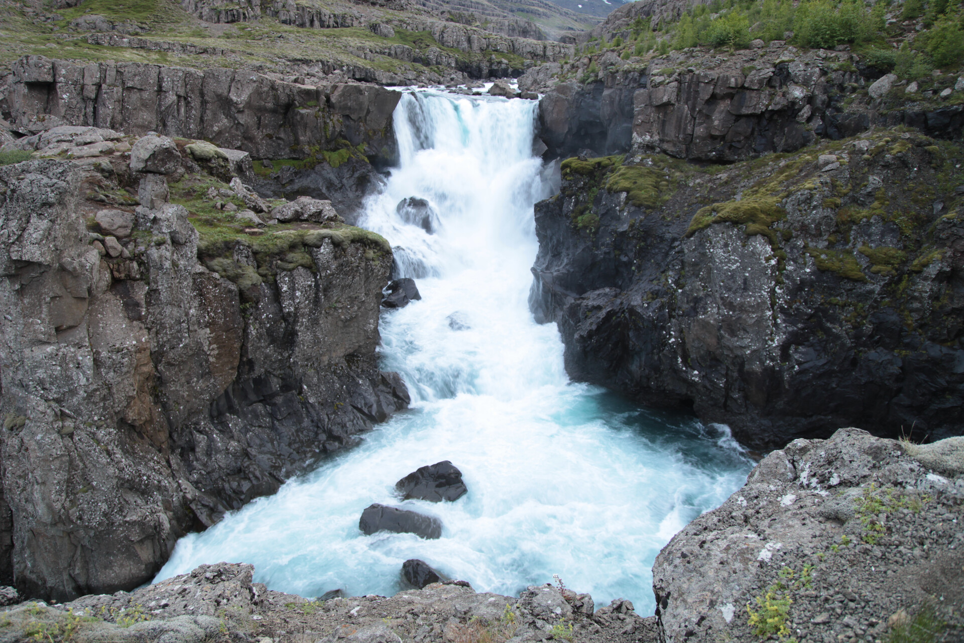 IMG_4513.JPG_compressed