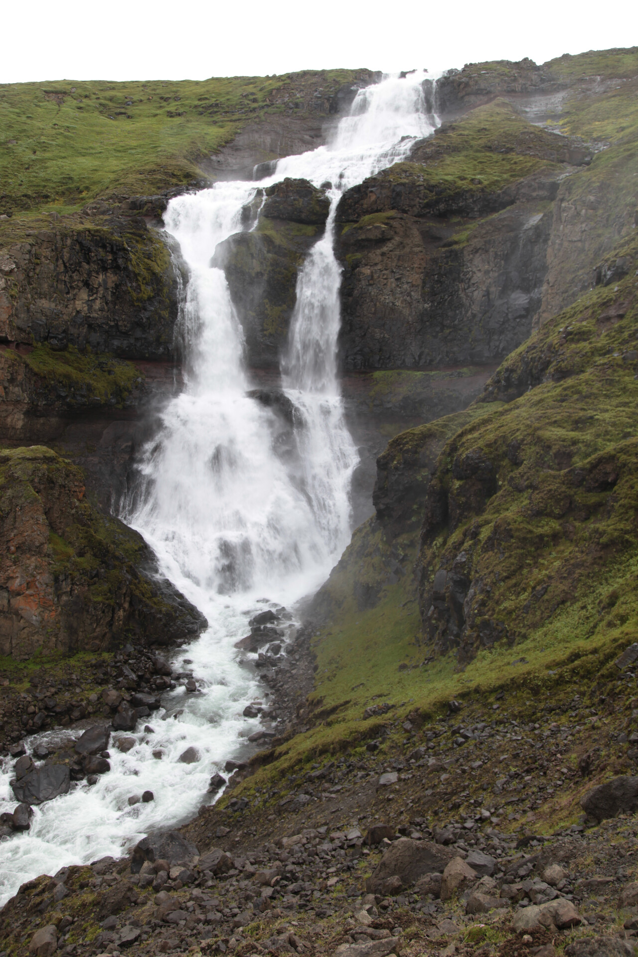 IMG_4534.JPG_compressed