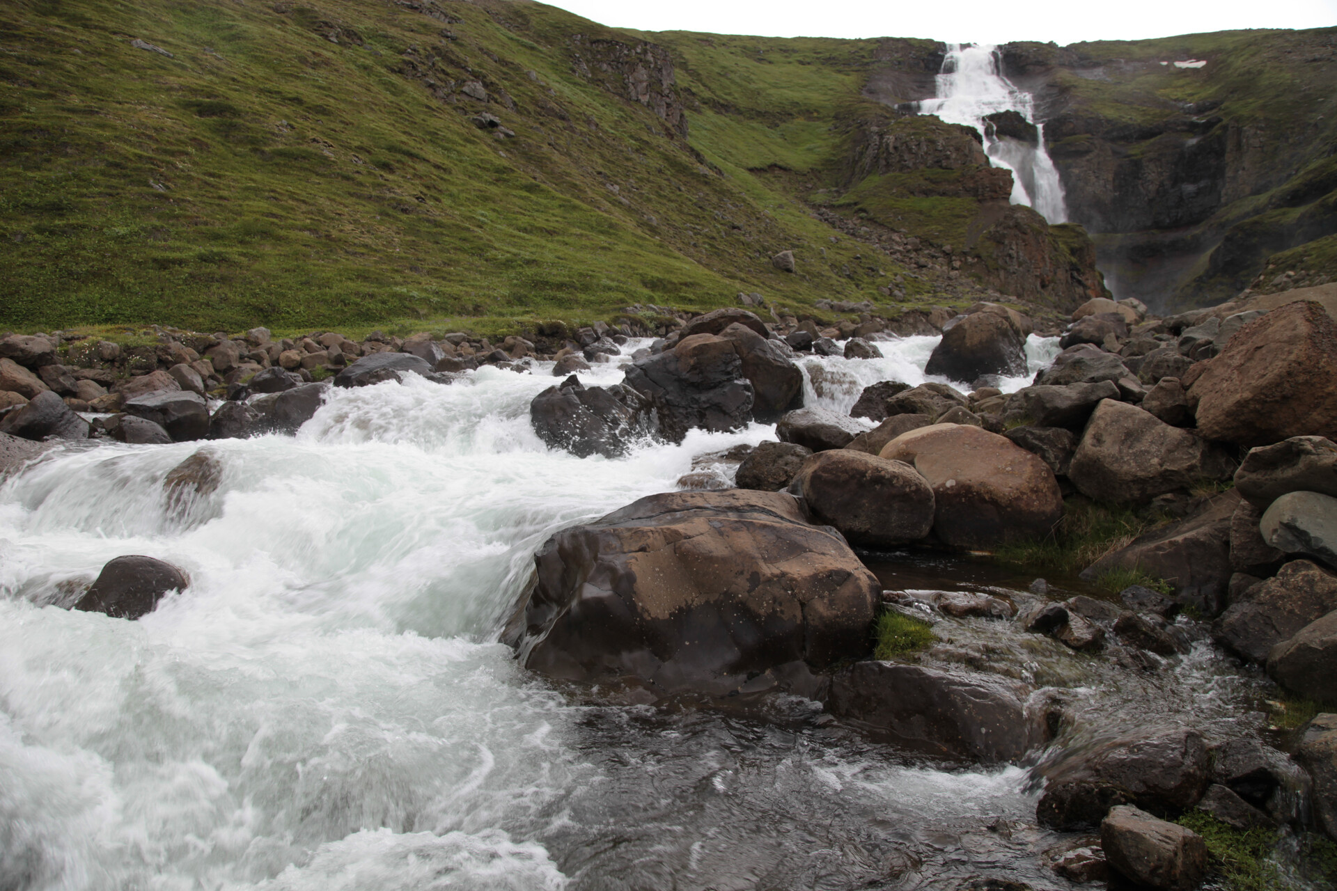 IMG_4552.JPG_compressed