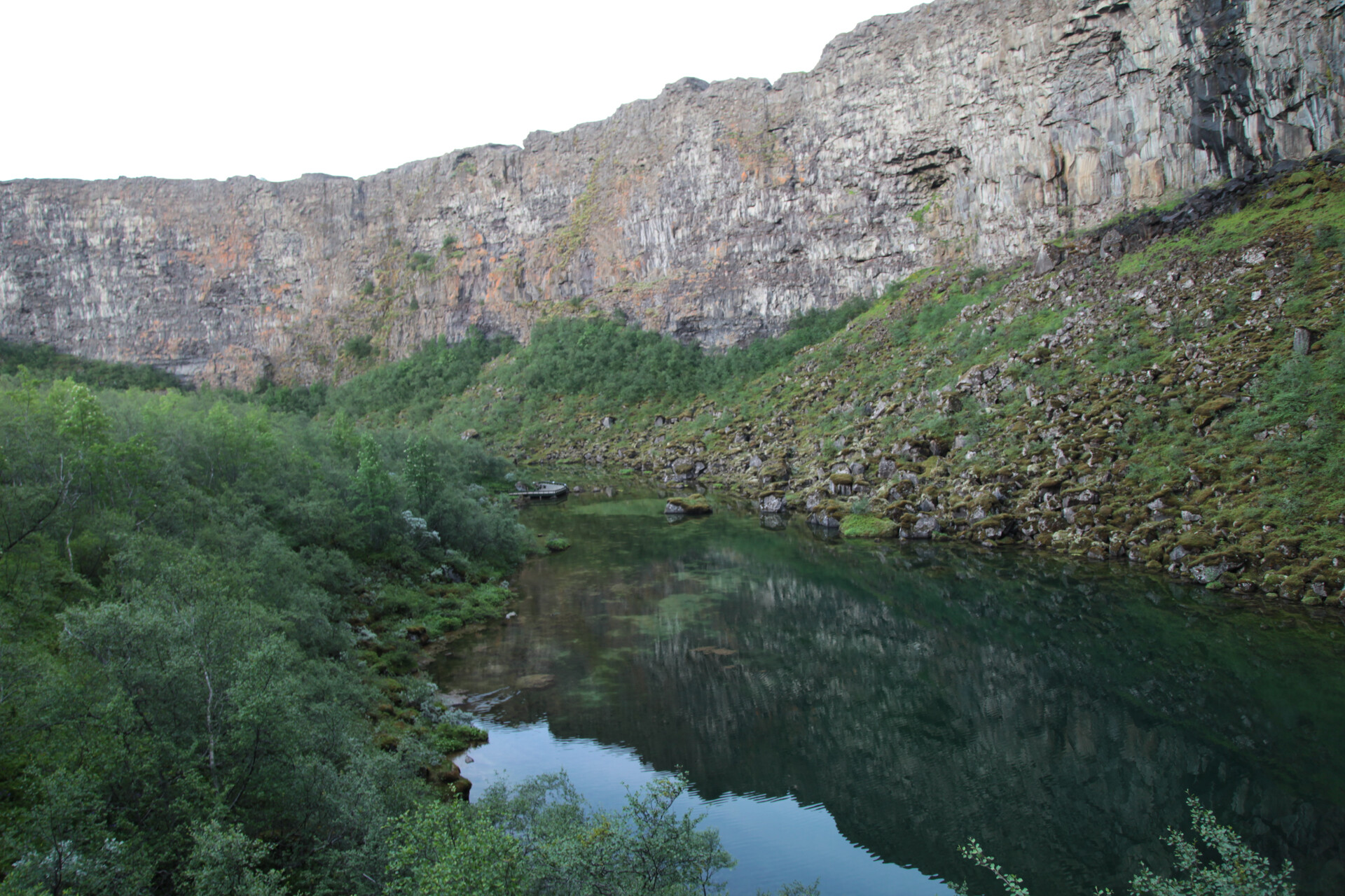 IMG_4666.JPG_compressed