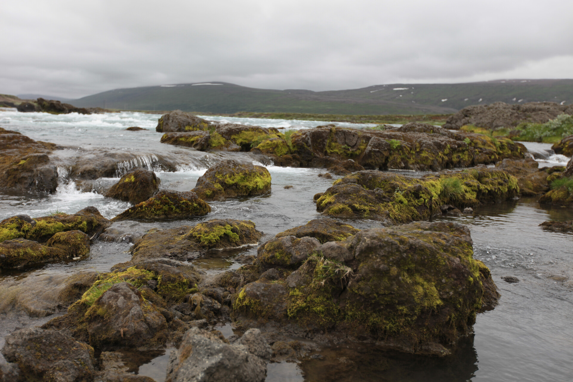IMG_4787.JPG_compressed