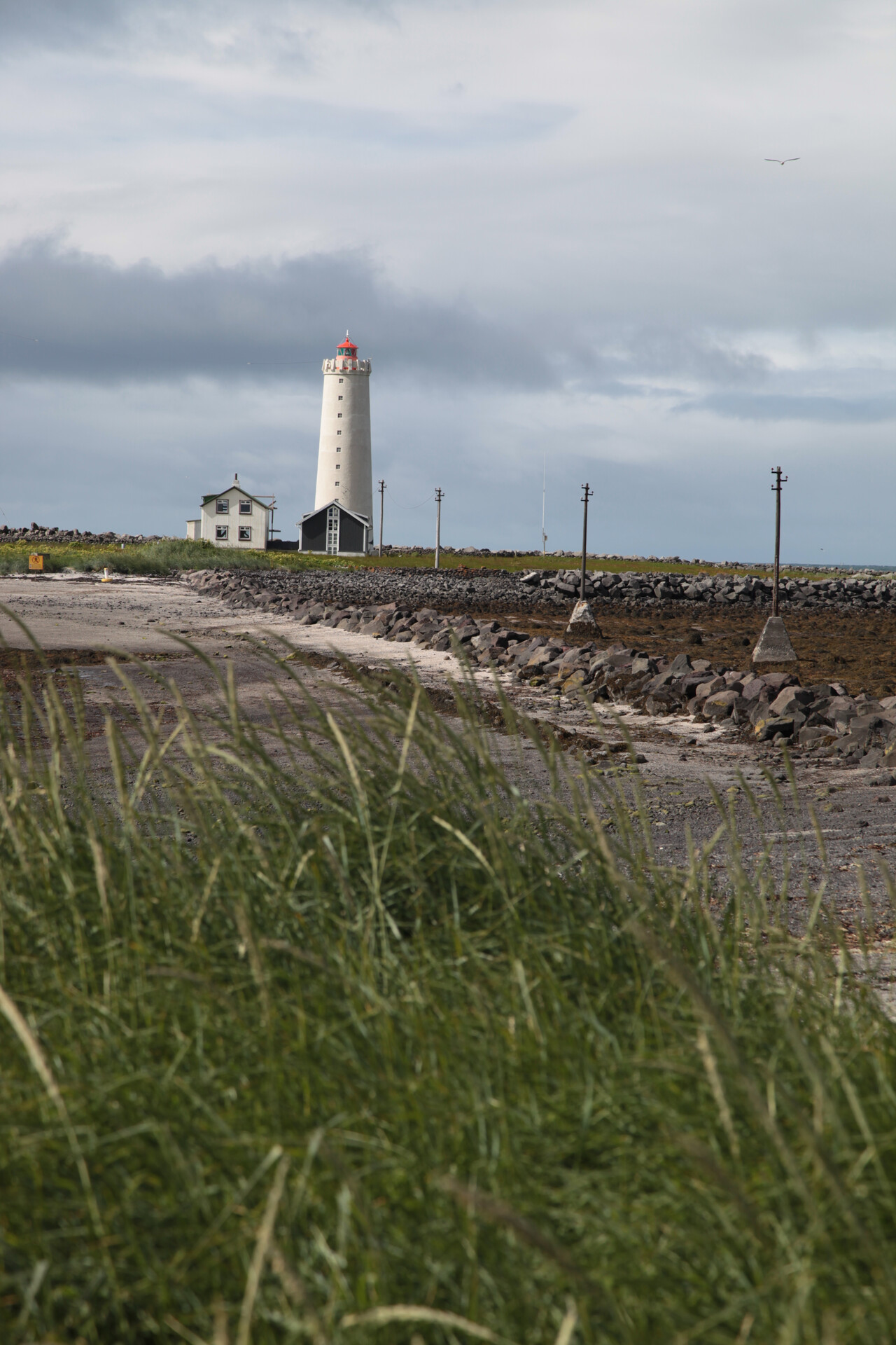 IMG_4900.JPG_compressed