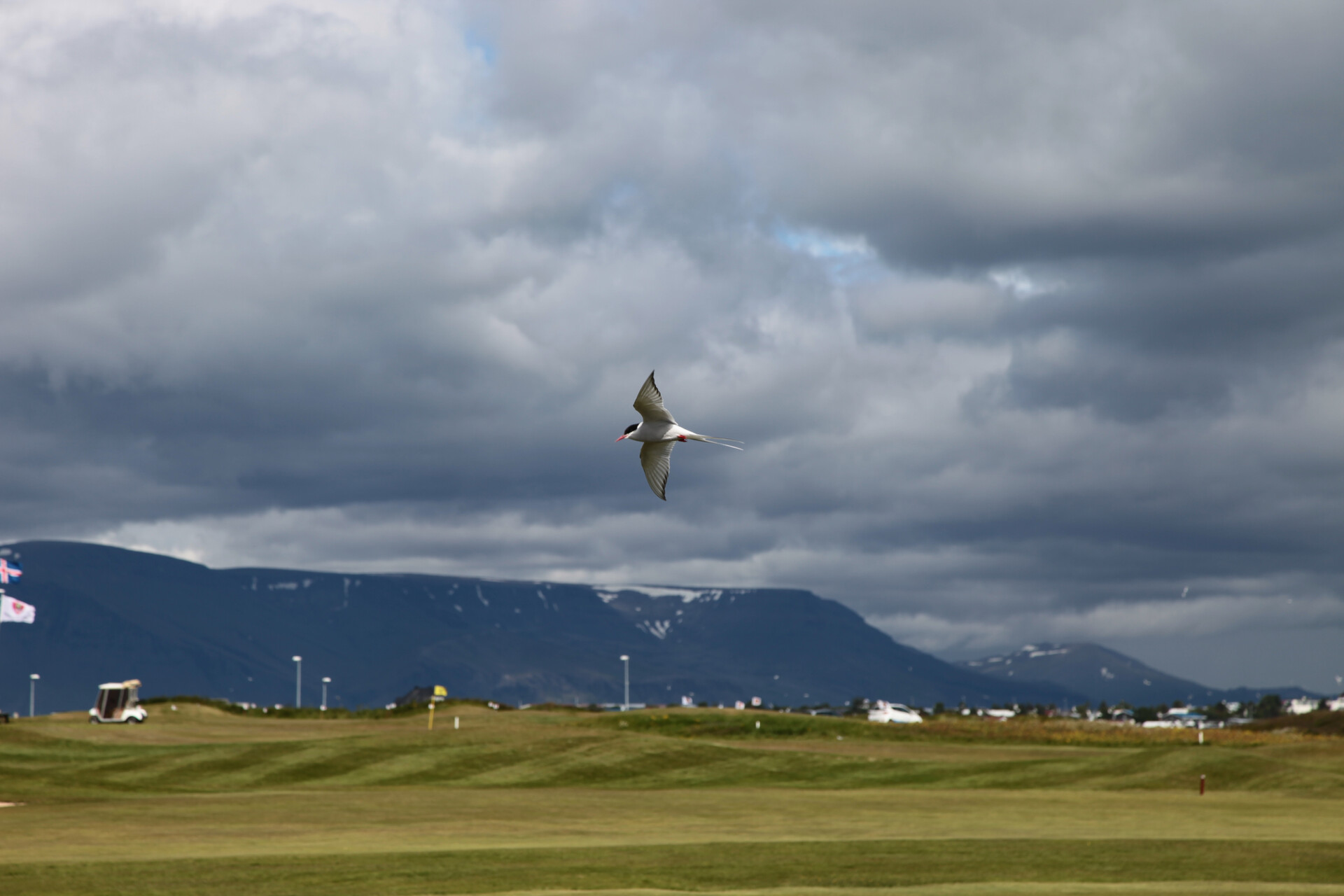 IMG_4925.JPG_compressed