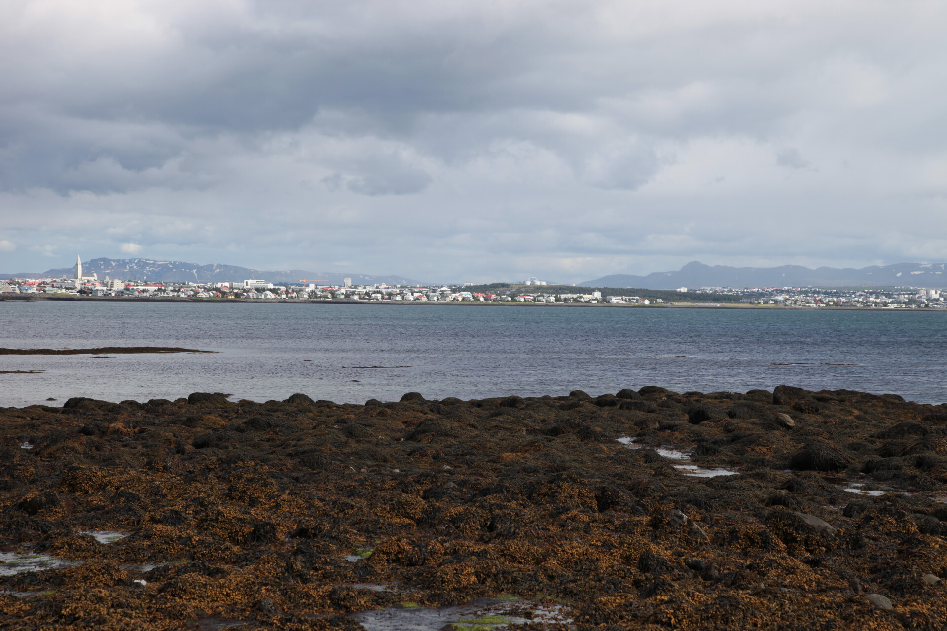 IMG_4928.JPG_compressed