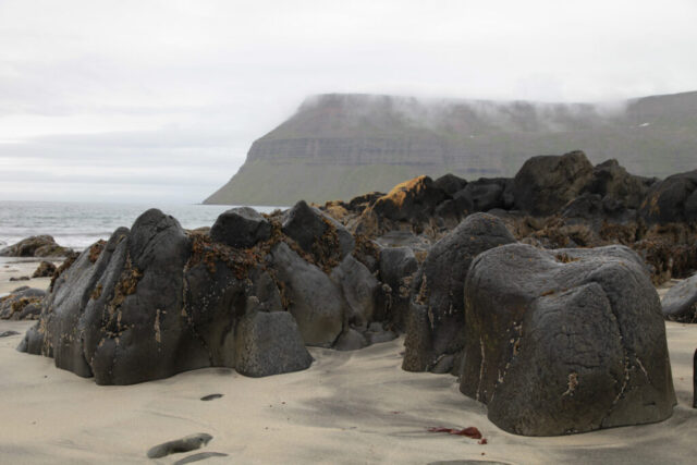 IMG_5622.JPG_compressed
