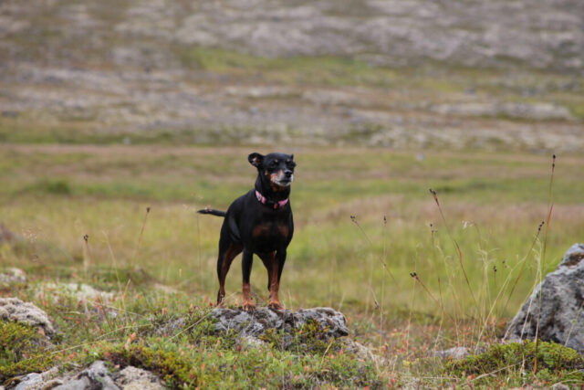 IMG_5629.JPG_compressed